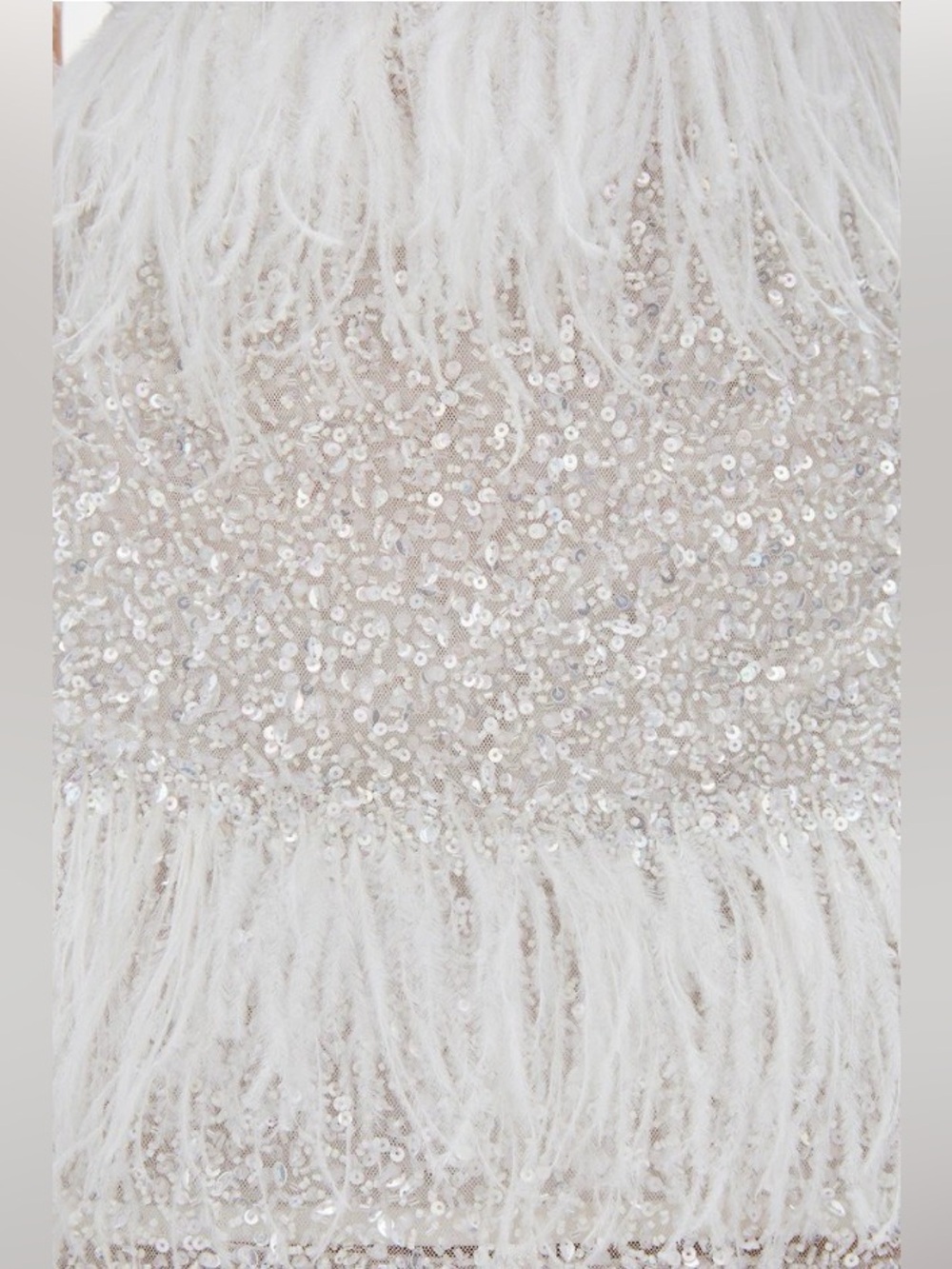 Rachel Gilbert White Crystal Feather Embellished Frenchy Mini Dress AU12/US8 NWT - Picture 2 of 5
